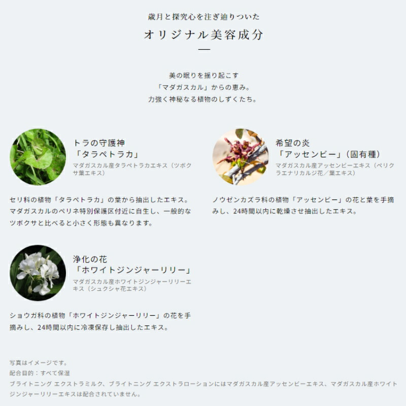 アルビオン エクシア アンベアージュ エクストラミルク 乳液 200g 濃厚 しなやか たっぷり うるおい みずみずしい ハリ 弾力 保湿 乾燥防止 だるみ対策 肌荒れ対処 角質ケア スキンケア ALBION albion - 画像 (5)
