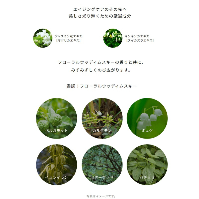 アルビオン エクシア シリウス ブライト セラム 美白美容液 40ml 医薬部外品 美白効果 美白有効成分 発光感 透明感 うるおい みずみずしい 浸透 深部ケア ハリ 弾力 角質ケア スキンケア シミ防ぐ ソバカス対処 メラニンの生成対策 ALBION albion - 画像 (3)