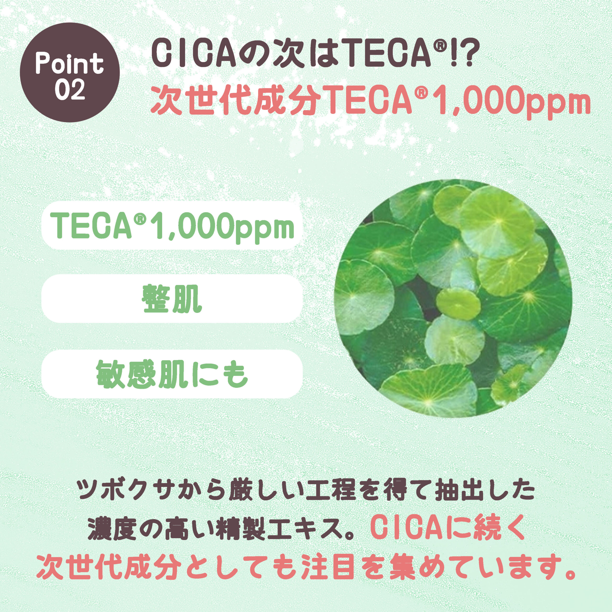 ユンス 生ビタミンCクリーム 30g フェイスクリーム 美白効果 ホワイトニング 保湿 うるおい 整肌 メラニンの生成抑制 シミ・ソバカス予防 乾燥防ぐ 肌荒れ防止 スキンケア 肌ケア Yunth - 画像 (5)