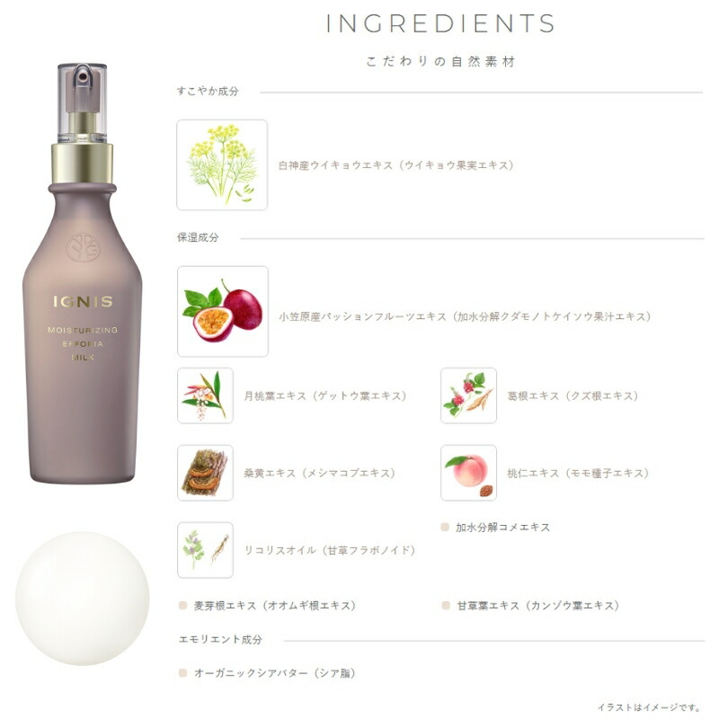 イグニス モイスチュアライジング エフフォーリア ミルク キット スキンケアセット ミルク 乳液 豊潤 濃厚 ハリ肌へ ローション 化粧水 濃密 整肌 ツヤ肌へ フェイスクリーム 重厚 いきいき 生命感 天然無漂白コットン IGNIS - 画像 (2)