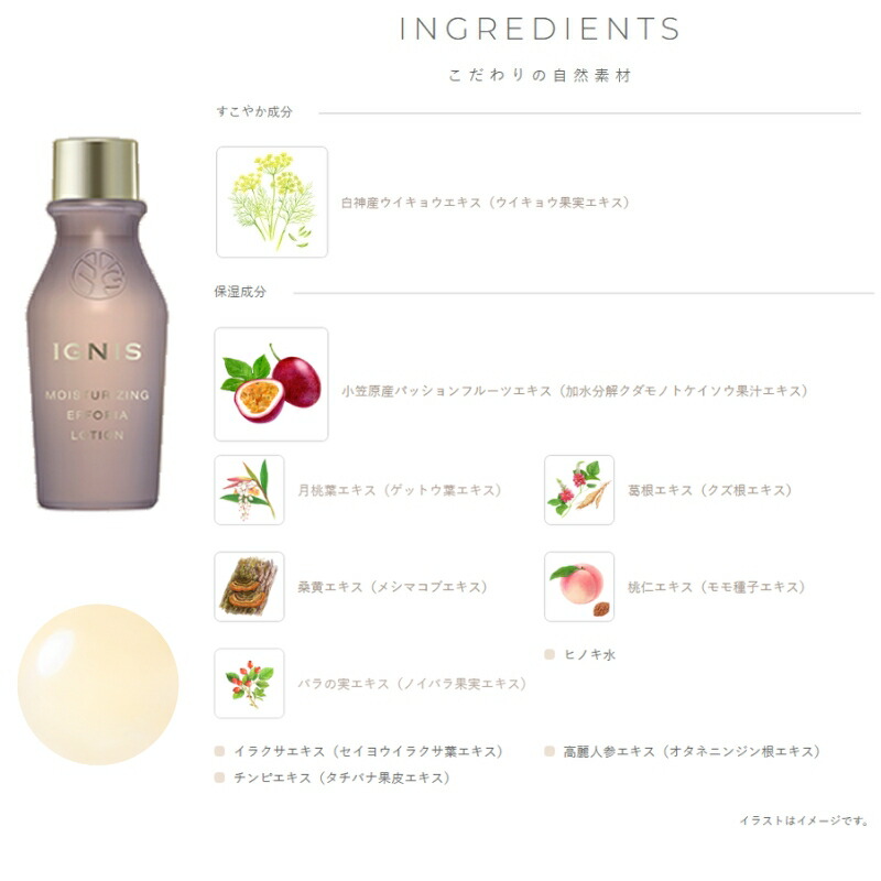 イグニス モイスチュアライジング エフフォーリア ミルク キット スキンケアセット ミルク 乳液 豊潤 濃厚 ハリ肌へ ローション 化粧水 濃密 整肌 ツヤ肌へ フェイスクリーム 重厚 いきいき 生命感 天然無漂白コットン IGNIS - 画像 (3)