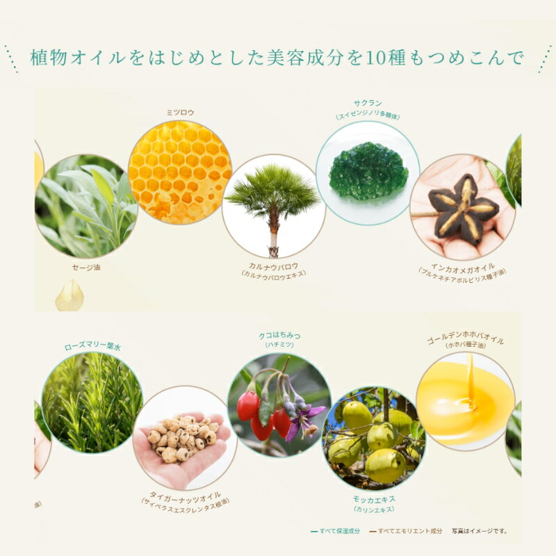 アルビオン ハーバルクリーム 40g フェイスクリーム 長時間しっとり 乾燥防止 肌あれ対策 輝くツヤ いきいき 生命感 濃密 植物由来成分 自然の恵み しっかり保湿 うるおい 角層まで浸透 スキンケア 角質ケア ALBION albion - 画像 (4)