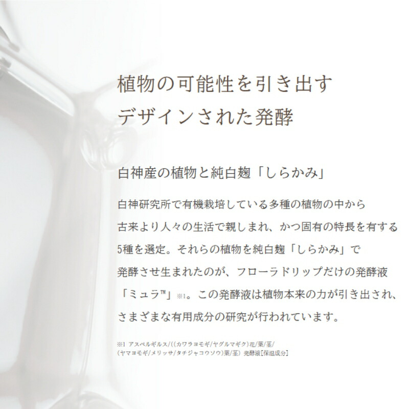 ネコポス速達!アルビオン フローラドリップ s 1.0ml*6包 合計6.0ml 化粧液 濃密化粧液 植物発酵液 お試しセット サシェサンプル トラベルサイズ 厳選植物由来成分 ハリ ツヤ うるおい 透明感 スキンケア 肌ケア ALBION albion - 画像 (5)