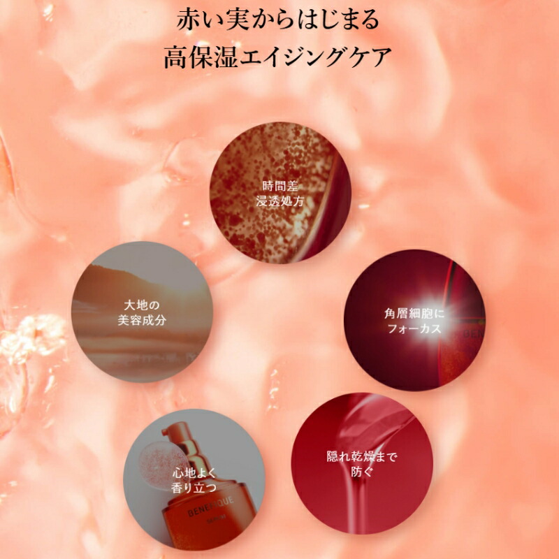 ネコポス速達!資生堂 ベネフィーク セラム 0.4ml*6個 美容液 導入美容液 ブースターセラム お試しセット サシェサンプル トラベルサイズ 高保湿 整肌 透明感 肌の悩み対策 天然由来成分 エイジングケア スキンケア BENEFIQUE - 画像 (3)