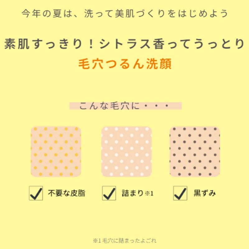 ネコポス速達!イグニス サニーサワー ソープ N 1.0g*6枚 合計6g 洗顔料 お試しセット サシェサンプル トラベルサイズ 洗顔フォーム ベタつきや汚れをしっかり落とす 保湿成分 レモン果汁配合 うるおい みずみずしい ビターフレッシュシトラスの香り IGNIS ignis - 画像 (3)