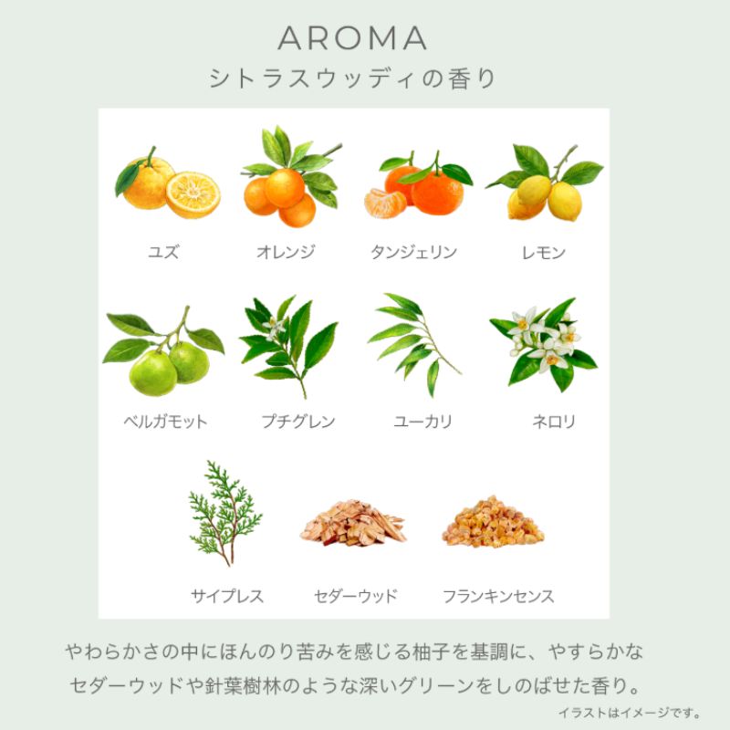 ネコポス速達!イグニス ナイトウェル ボディミルク 4.0ml*6枚 合計24ml お試しセット サシェサンプル トラベルサイズ ボディケア 柚子の香り 保湿効果 うるおい 土佐ユズエキス配合 ウッディ系の香り ハリとツヤのある肌へ IGNIS ignis - 画像 (4)