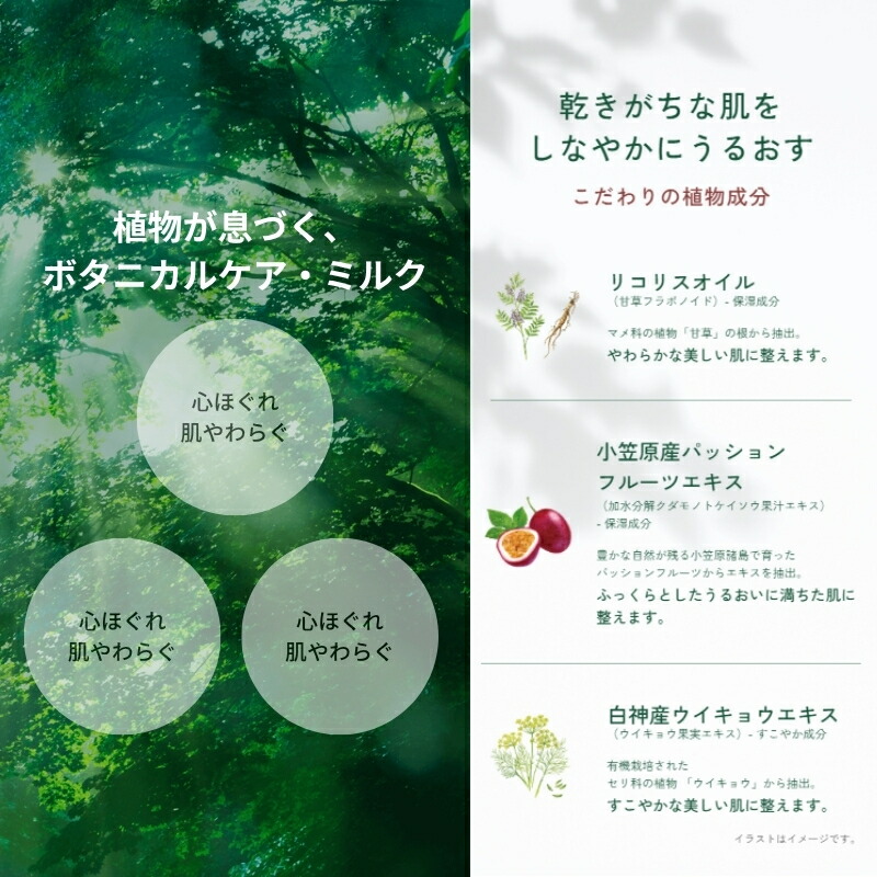 イグニス モイスチュアライジング ミルク II〈乳液〉110g 深呼吸ミルク ボタニカルケア・ミルク こだわりの植物成分 うるおい 保湿 心地よくリッチな感触 肌になじむ オーガニックシアバター オレンジ果皮油 ユズ果実エキス しっとりとしたしなやかな肌へ IGNIS ignis - 画像 (4)
