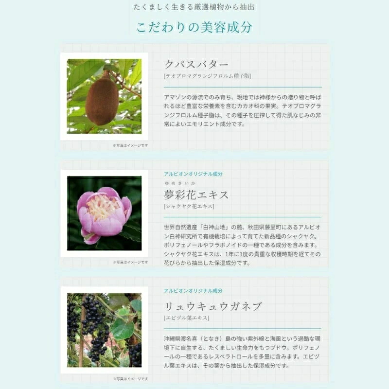 アルビオン エクラフチュール t 30 キット(クラフチュール t〈美容液〉30ml、フローラドリップ s〈化粧液〉24ml、スキコンマスク 14ml × 1枚入)限定キット 数量限定 厳選植物由来成分 肌悩み対策 スキンケア ALBION albion - 画像 (6)