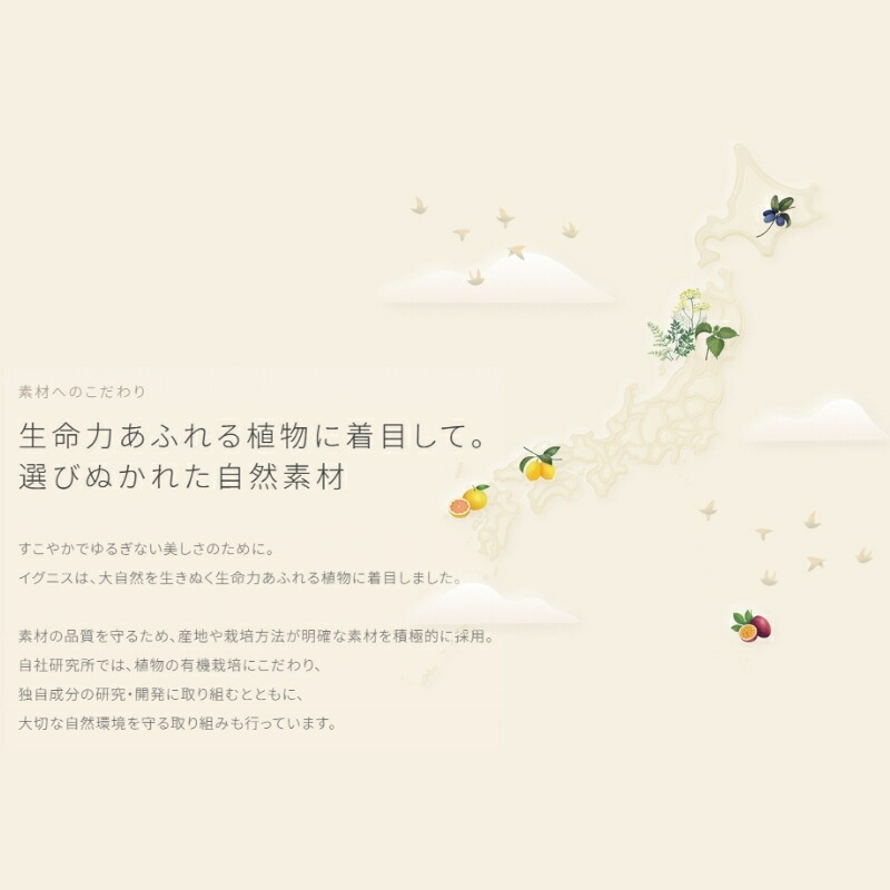 イグニス モイスチュアライジング エッセンス〈美容液〉40ml 湧きあがる美しさ いきいき 生命感 うるおい 肌荒れ・乾燥防止 肌のコンディション積極的にサポート 厳選された植物エキス配合 こだわりの自然素材 ハーバルフレッシュの香り スキンケア IGNIS ignis ALBION - 画像 (4)