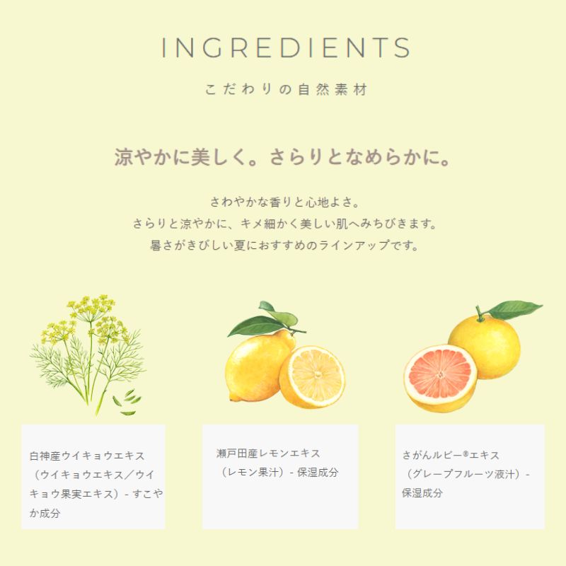 ネコポス速達!イグニス サニーサワー ローション〈化粧水〉3ml*6枚 合計18ml お試しセット サシェサンプル トラベルサイズ 涼やか・クールな感触 ひきしめ効果 爽快な使用感 うるおい みずみずしい つるんとなめらか・キメ細かい肌 清涼感 さわやかなシトラスの香り IGNIS - 画像 (2)