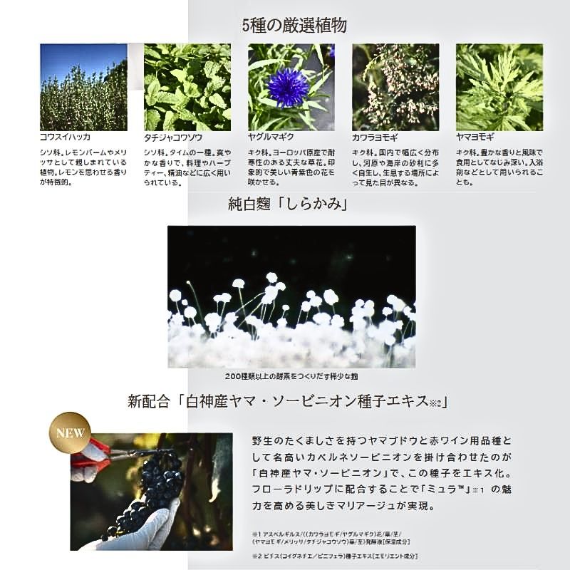 アルビオン フローラドリップs 80 キット〈アルビオン フローラドリップ s(化粧液・現品)80ml、エクシア ブライトニング エクストラリッチミルク(美白乳液)35g、エクストラ フェイシャルコットン 10枚入〉スキンケアセット ALBION albion - 画像 (7)