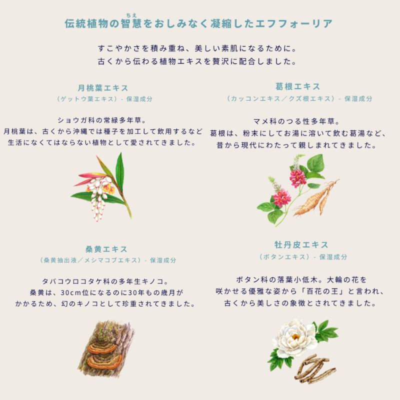 イグニス ブライト エフフォーリア マッサージ&クレンジング クリーム〈マッサージ料・クレンジング料〉15g*2個 合計30g 外箱なし ミニサイズ 特製サイズ サンプル 保湿成分 伝統植物エキス・保湿成分を贅沢配合 メイク・汚れをしっかりオフ IGNIS ignis - 画像 (2)