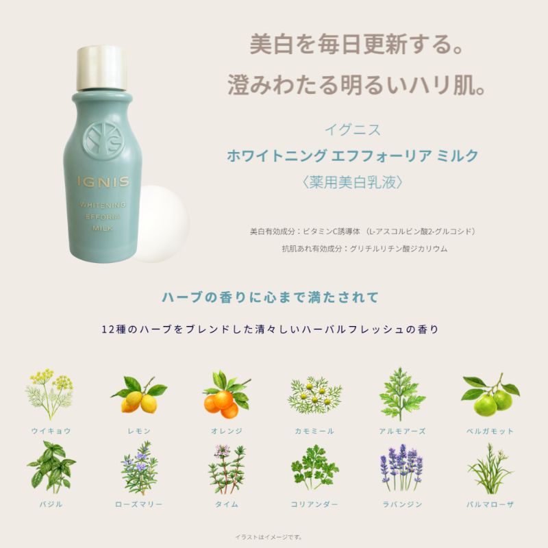 ネコポス速達!イグニス ホワイトニング エフフォーリア ミルク〈薬用美白乳液〉21g 外箱なし ミニサイズ 特製サイズ サンプル 美白有効成分 抗肌荒れ有効成分 肌をやわらげる 弾むようなハリ 肌あれを防ぐ メラニン生成抑制 シミ・ソバカス防止 伝統植物配合 IGNIS ignis - 画像 (4)