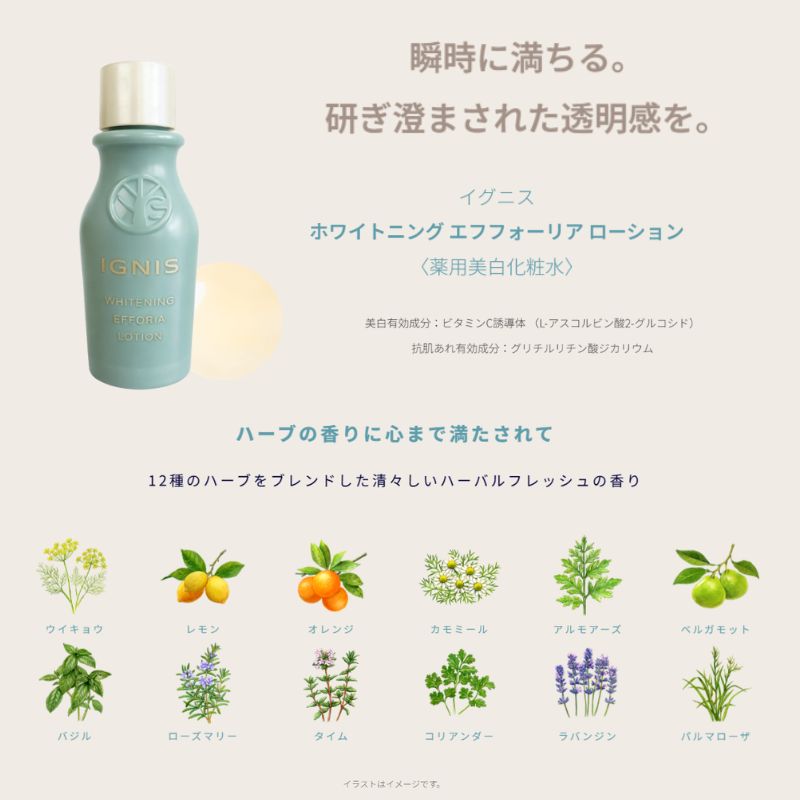 ネコポス速達!イグニス ホワイトニング エフフォーリア ローション〈薬用美白化粧水〉21ml 外箱なし ミニサイズ 特製サイズ サンプル 美白有効成分 抗肌荒れ有効成分 みずみずしい うるおい 肌荒れを防ぐ メラニン生成抑制 シミ・ソバカス防止 伝統植物配合 IGNIS ignis - 画像 (4)