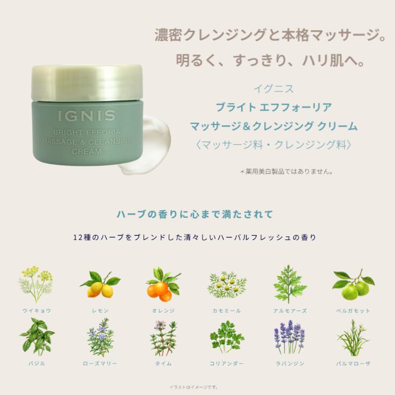 イグニス ブライト エフフォーリア マッサージ&クレンジング クリーム〈マッサージ料・クレンジング料〉15g*2個 合計30g 外箱なし ミニサイズ 特製サイズ サンプル 保湿成分 伝統植物エキス・保湿成分を贅沢配合 メイク・汚れをしっかりオフ IGNIS ignis - 画像 (4)