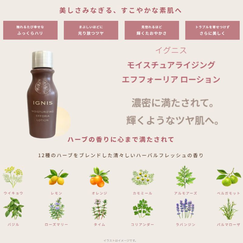 ネコポス速達!イグニス モイスチュアライジング エフフォーリア ローション〈化粧水〉21ml 外箱なし ミニサイズ 特製サイズ サンプル エイジングケア 保湿成分 ハリ キメをふっくらと整える 伝統植物エキス贅沢配合 濃密なうるおいで肌を満たす 心地よく肌を包みこむ IGNIS - 画像 (3)