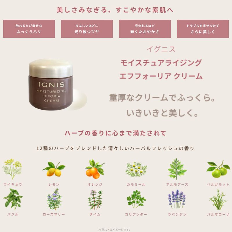 ネコポス速達!イグニス モイスチュアライジング エフフォーリア クリーム 4g 外箱なし ミニサイズ 特製サイズ サンプル エイジングケア 保湿成分 ハリ 密着感 伝統植物エキス贅沢配合 積極的に肌サポート 心地よいハーバルフレッシュの香り IGNIS ignis - 画像 (3)