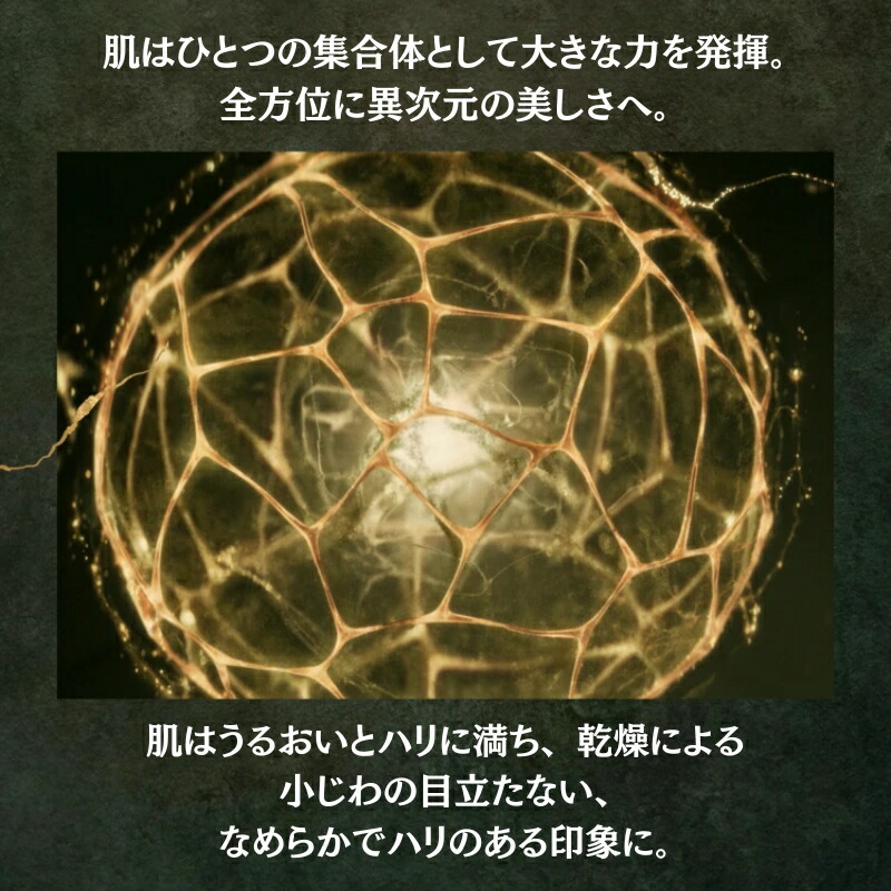 ネコポス速達!エスケーツー LXP 金継ぎ クリーム 2点トライアルキット 1g×2個〈美容クリーム〉外箱付き ミニサイズ 特製サイズ サンプル ゴールドシルクセリシン配合 超濃縮ピテラ 弾むようなハリ 透明感 毛穴が目立ちにくい 全方位に肌をケア SK-II sk-II SK-2 sk-2 - 画像 (6)