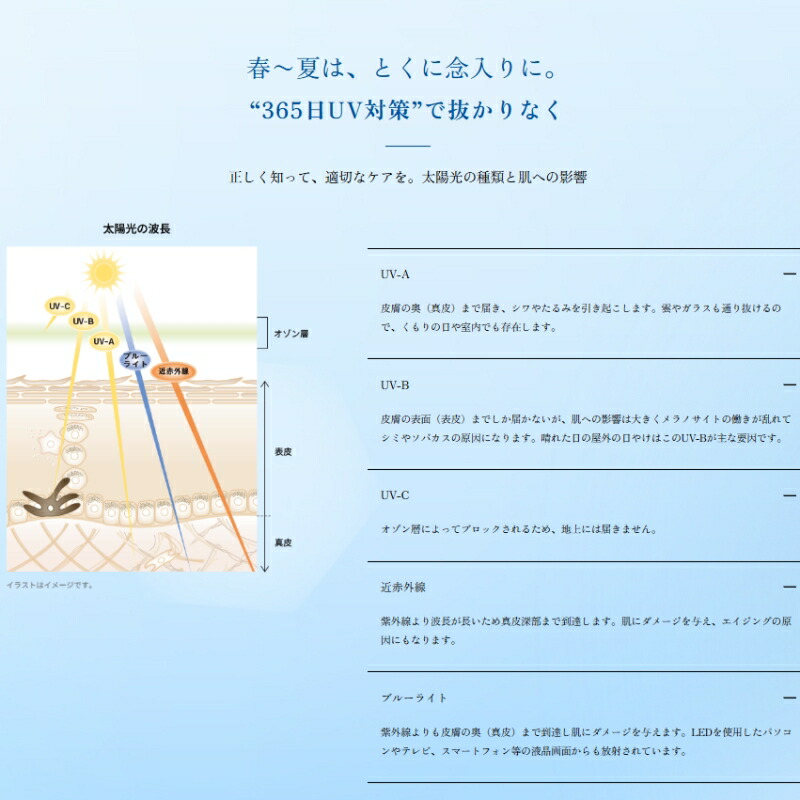 アルビオン S-UV カット リンクル イルミネイティング デイクリーム〈日中用美容クリーム・メイクアップベース〉50g 医薬部外品 リニューアル発売 化粧下地 UVデイクリーム 透明感 美白 シワ改善 ハリ メラニンの生成抑制 紫外線ブロック 乾燥防止 ツヤ肌 ALBION albion - 画像 (6)