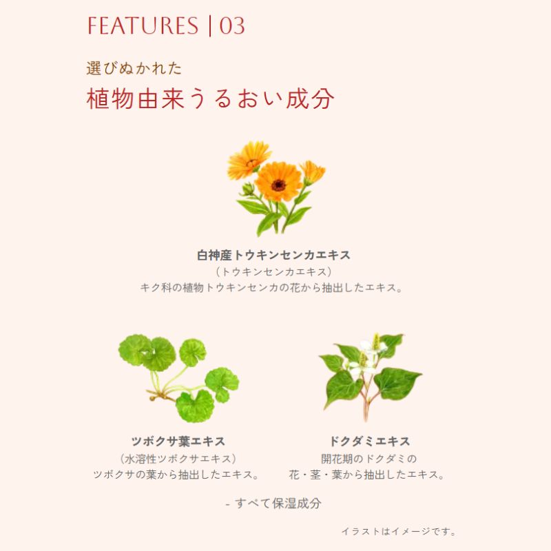 イグニス テンダー ピュア ローション〈薬用化粧水〉医薬部外品 150ml 植物由来成分配合 肌あれ予防 ゆらぎ肌 保湿 潤い アルコールフリー パラベンフリー 心地よいハーバルフレッシュの香り キメ しっとり 浸透 スキンケア IGNIS ignis - 画像 (5)