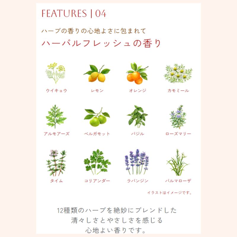 ネコポス速達!イグニス テンダー ピュア ローション〈薬用化粧水〉医薬部外品 3.0ml*6枚 新発売 いち早くお試し お試しセット サシェサンプル トラベルサイズ 植物由来成分配合 アルコールフリー・パラベンフリー 肌あれを防ぐ 心地よいハーバルフレッシュの香り IGNIS - 画像 (7)