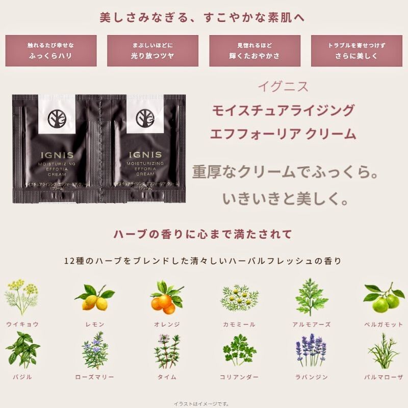 ネコポス速達!イグニス モイスチュアライジング エフフォーリア クリーム 0.4g*6枚 お試しセット サシェサンプル トラベルサイズ エイジングケア 保湿成分 ハリ 密着感 伝統植物エキス贅沢配合 積極的に肌サポート 心地よいハーバルフレッシュの香り IGNIS ignis - 画像 (3)
