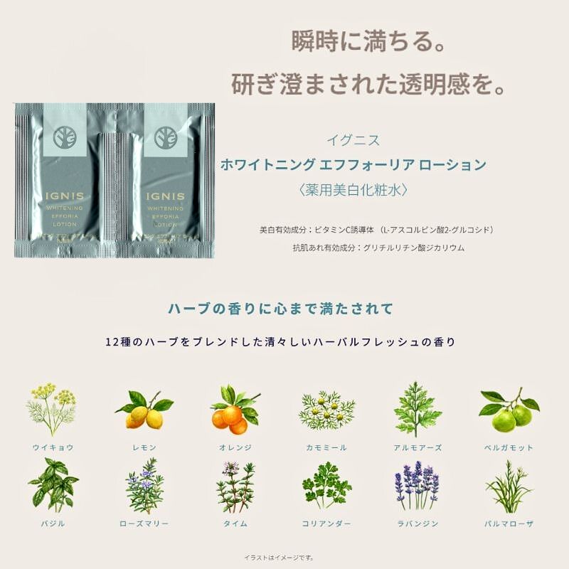 ネコポス速達!イグニス ホワイトニング エフフォーリア ローション〈薬用美白化粧水〉医薬部外品 3ml*6枚 お試しセット サシェサンプル トラベルサイズ 美白有効成分 抗肌荒れ有効成分 うるおい 肌荒れを防ぐ メラニン生成抑制 シミ・ソバカス防止 伝統植物配合 IGNIS ignis - 画像 (4)