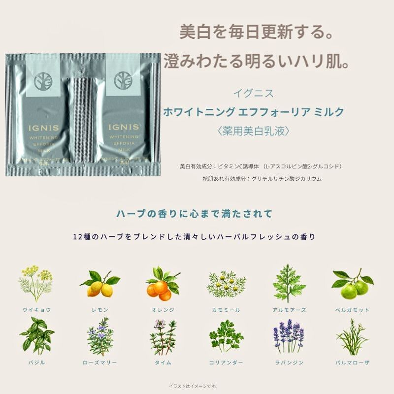 ネコポス速達!イグニス ホワイトニング エフフォーリア ミルク〈薬用美白乳液〉医薬部外品 3g*6枚 お試しセット サシェサンプル トラベルサイズ 美白有効成分 抗肌荒れ有効成分 弾むようなハリ 肌あれを防ぐ メラニン生成抑制 シミ・ソバカス防止 伝統植物配合 IGNIS ignis - 画像 (4)