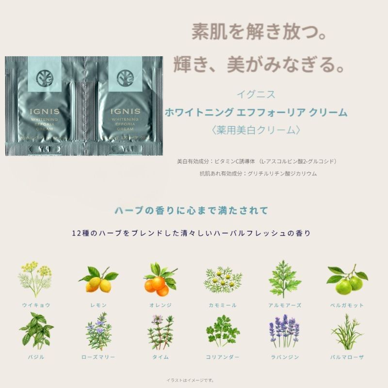 ネコポス速達!イグニス ホワイトニング エフフォーリア クリーム〈薬用美白クリーム〉医薬部外品 0.4g*6枚 お試しセット サシェサンプル トラベルサイズ 美白有効成分 抗肌荒れ有効成分 ハリ 肌荒れを防ぐ メラニン生成抑制 シミ・ソバカス防止 伝統植物配合 IGNIS ignis - 画像 (4)