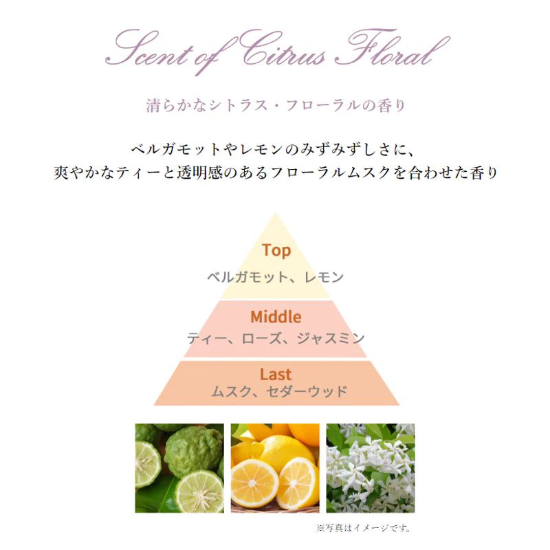 ネコポス速達!ポール & ジョー トリートメント ボディ ミルク 15ml*2本 合計30ml 外箱なし ミニサイズ 特製サイズ サンプル しっとり包み込む 保湿成分配合 潤い 高密着 みずみずしくのび広がる シトラス・フローラルの香り ボディケア PAUL & JOE paul & joe - 画像 (2)